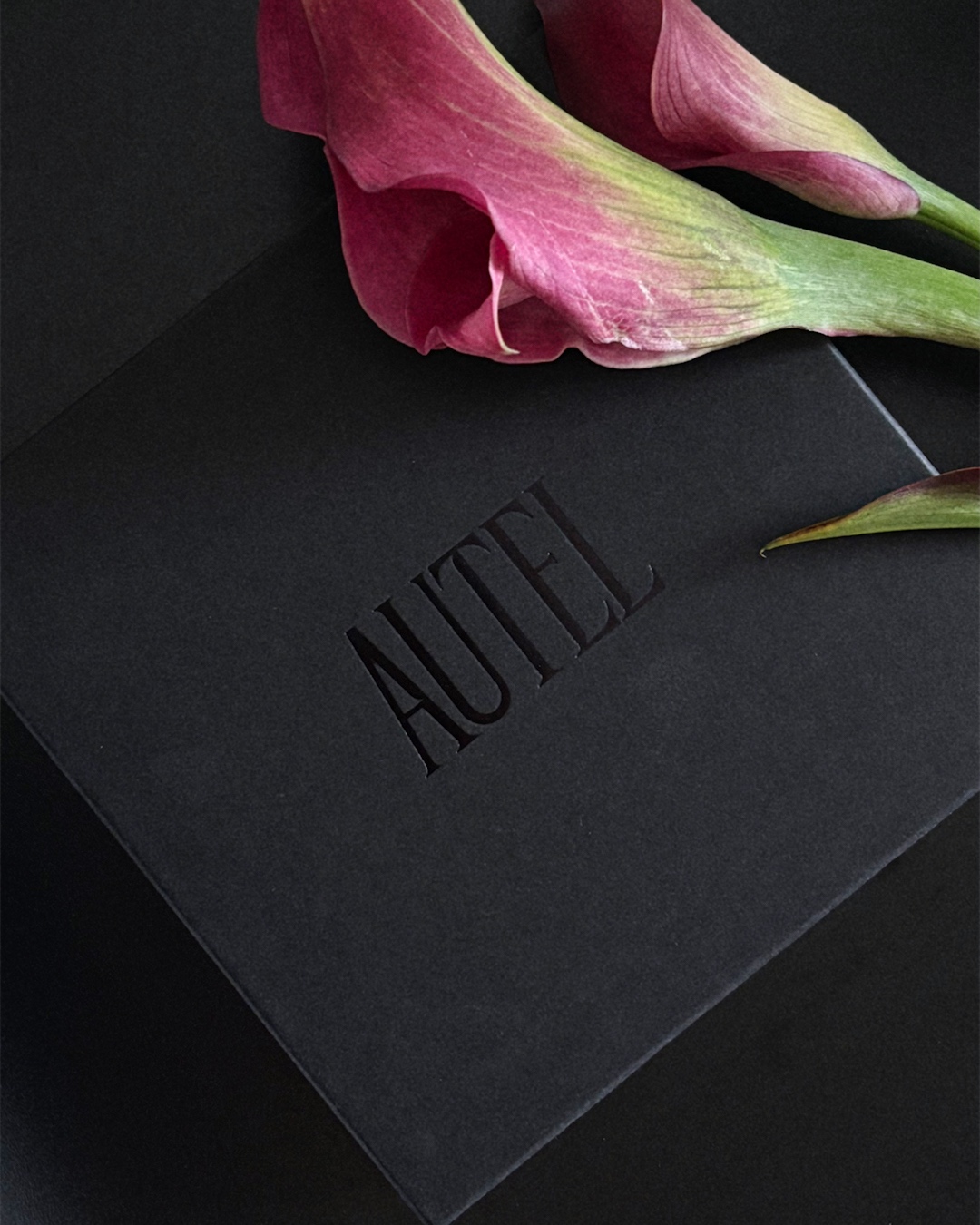 autel_dk_05.jpg